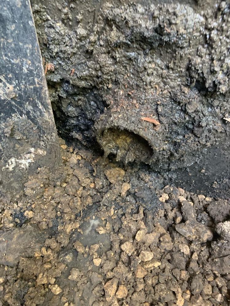 Slide of Fred & Sons Plumbing Sewer