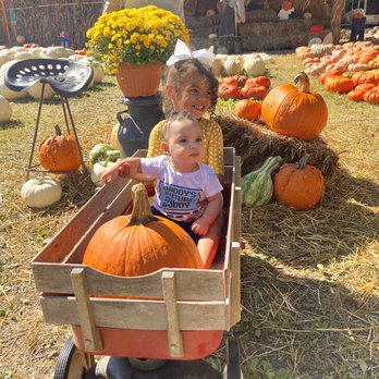 Hawk's Pumpkin Patch - Wagon - Pumpkin Patches Near Me - Winston-Salem, North Carolina