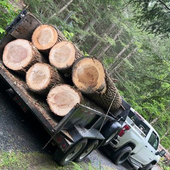 Alpha Arbor - Tree Services Near Me - Stamford, Vermont Alpha Arbor - Tree Services Near Me - Stamford, Vermont