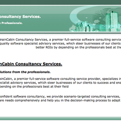 BrainCabin Consultancy Services - Online activity