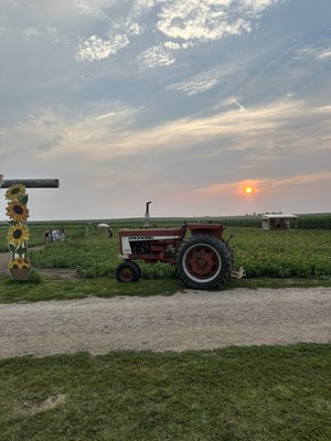 Bloomsbury Farm by null