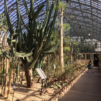 Garfield Park Conservatory - Parks Near Me - Chicago, Illinois