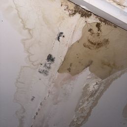 Along with the Mold. They have done nothing Along with the Mold. They have done nothing
