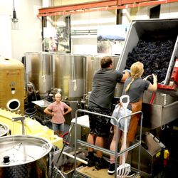 Chateau Amsterdam - Processing Tempranillo "19