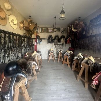 Cuadra San Francisco - Horseback Riding Near Me - San Jose del Cabo, BCS