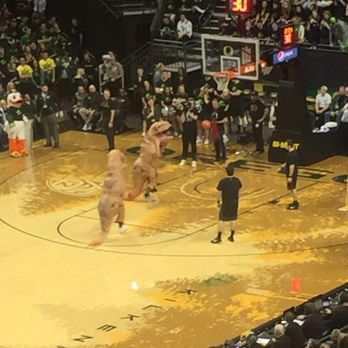 Matthew Knight Arena - T-Rex basketball. - Stadiums & Arenas Near Me - Eugene, Oregon Matthew Knight Arena - T-Rex basketball. - Stadiums & Arenas Near Me - Eugene, Oregon