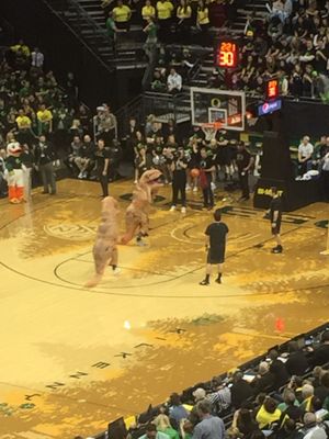Matthew Knight Arena by null