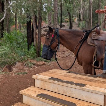 Pālehua Trail Rides - Horseback Riding Near Me - Kapolei, Hawaii Pālehua Trail Rides - Horseback Riding Near Me - Kapolei, Hawaii