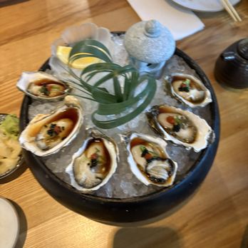 Tokyo Table - Kumamoto oysters, 6 - Japanese Near Me - Sacramento, California Tokyo Table - Kumamoto oysters, 6 - Japanese Near Me - Sacramento, California