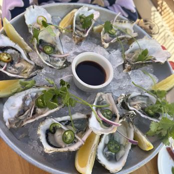 Puntamar - Seafood Near Me - Encinitas, California