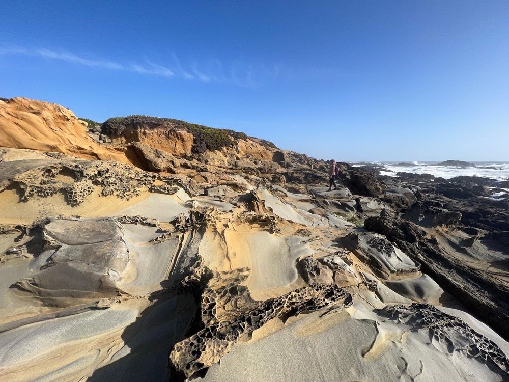 BEAN HOLLOW STATE BEACH 456 Photos & 110 Reviews 11000 Cabrillo Hwy