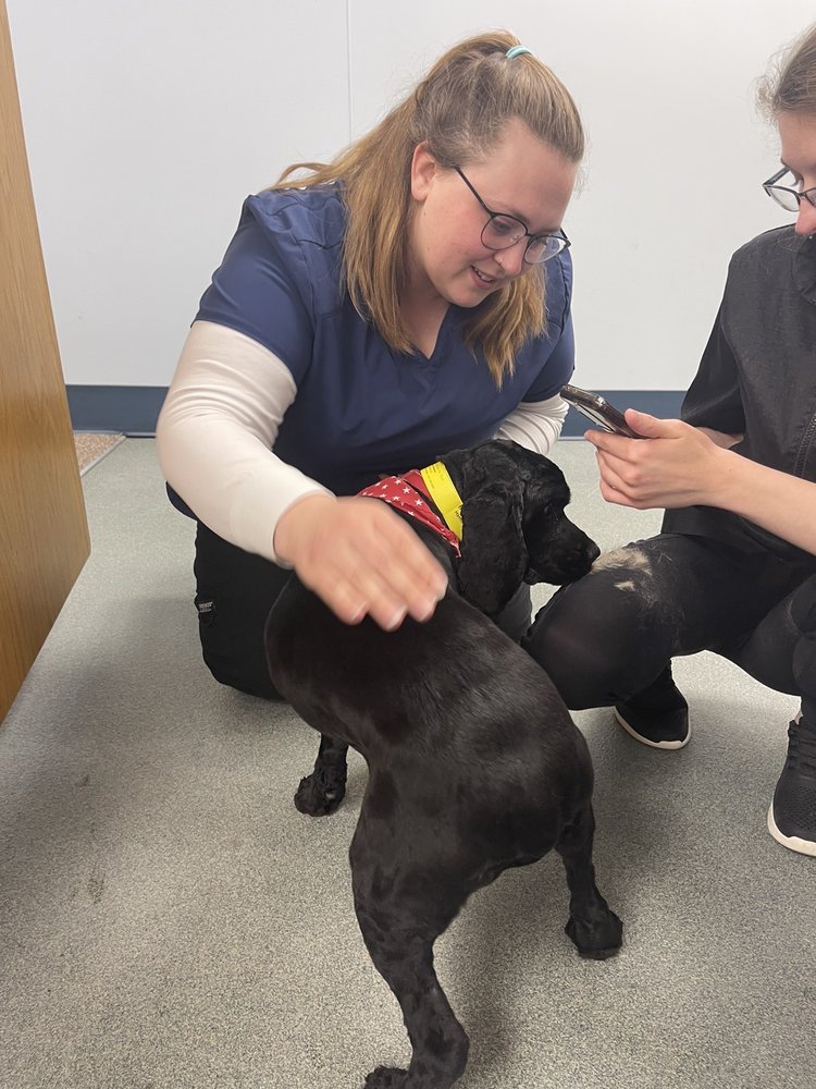 ANIMAL HOSPITAL OF NEW ALBANY Updated August 2024 11 Photos 3033