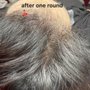 Ink Scalp Goddess