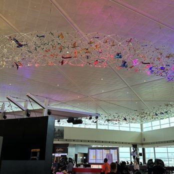 Dallas Love Field - DAL - Airports Near Me - Dallas, Texas Dallas Love Field - DAL - Airports Near Me - Dallas, Texas