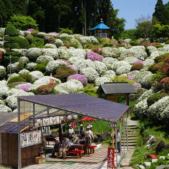 太平つつじ園 わ館 Parks 太平中関字上館68 秋田市 秋田県 Japan Phone Number Yelp