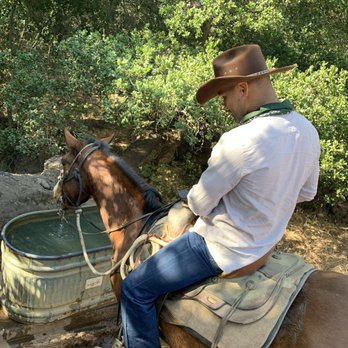 Circle Bar B Stables - Splash wanted to splash in the troff - Horseback Riding Near Me - Santa Barbara, California