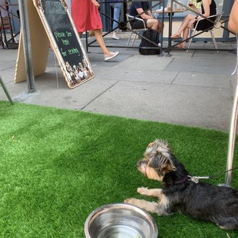 The Kitchen Step - Turf grass area - perfect for dining with dogs! - Desserts Near Me - Jersey City, New Jersey The Kitchen Step - Turf grass area - perfect for dining with dogs! - Desserts Near Me - Jersey City, New Jersey