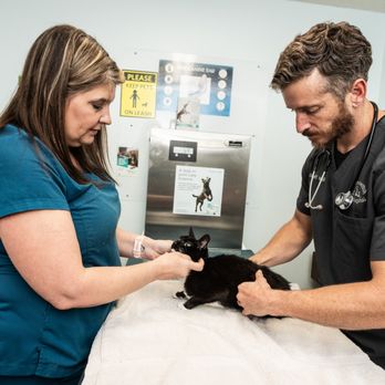 Brownswitch Pet Hospital - Veterinarians Near Me - Slidell, Louisiana