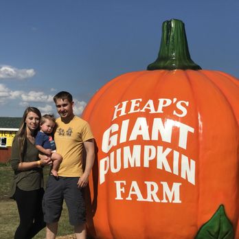 Heap's Giant Pumpkin Farm - Pumpkin Patches Near Me - Minooka, Illinois