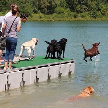 Prairie Oaks Metro Park - Hunter jumping off of the dock - Hiking Near Me - Hilliard, Ohio