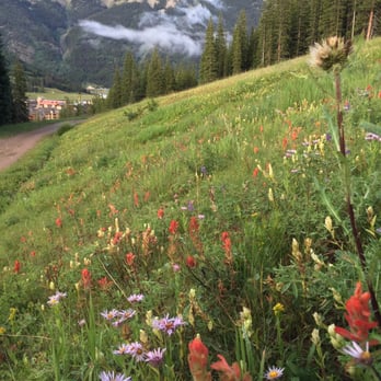 Copper Mountain - Hiking trail right outside our room - Ski Resorts Near Me - Copper Mountain, Colorado Copper Mountain - Hiking trail right outside our room - Ski Resorts Near Me - Copper Mountain, Colorado