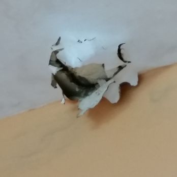 Wendell's Roofing & Remodeling - Suddenly leaking hole in ceiling after their overpriced and obviously unnecessary chimney flashing "repair". - Roofing Near Me - Royal Oak, Michigan Wendell's Roofing & Remodeling - Suddenly leaking hole in ceiling after their overpriced and obviously unnecessary chimney flashing "repair". - Roofing Near Me - Royal Oak, Michigan