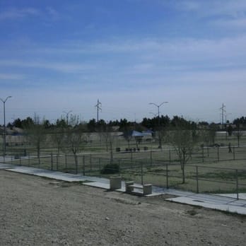 Barkin' Basin Dog Park - Dog Parks Near Me - Las Vegas, Nevada