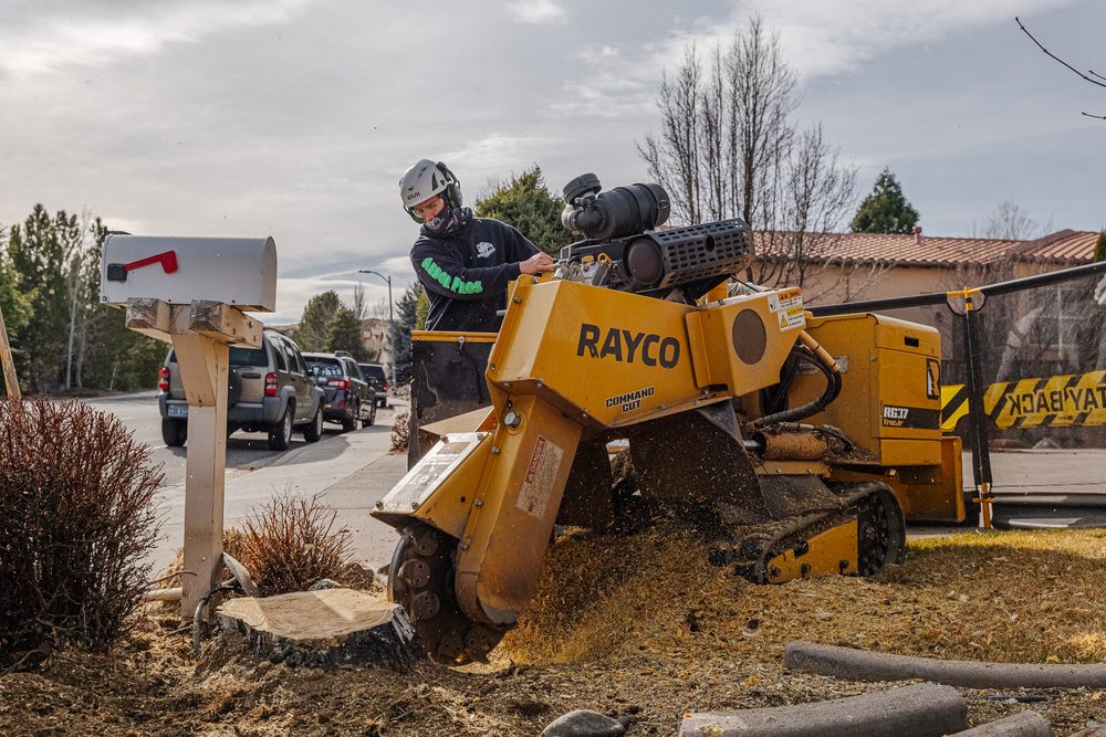Arbor Pros - veterans service organization in Reno, NV