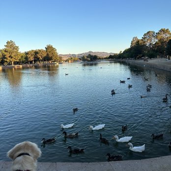 Sunset Park - Pond at Sunset Park - Dog Parks Near Me - Las Vegas, Nevada