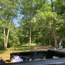 Lovely shade, moderate canopy. Lovely shade, moderate canopy.