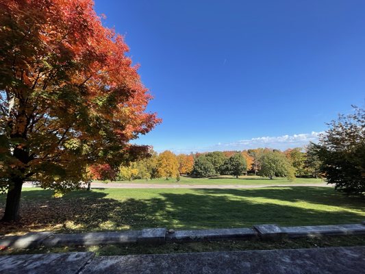 Larz Anderson Park by null