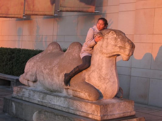 Seattle Asian Art Museum by null