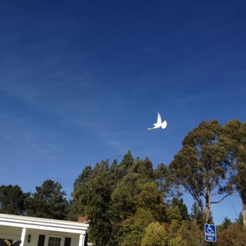 Doves Aflight - outside of Skyview Memorial - Vallejo, Ca. - Funeral Services & Cemeteries Near Me Doves Aflight - outside of Skyview Memorial - Vallejo, Ca. - Funeral Services & Cemeteries Near Me