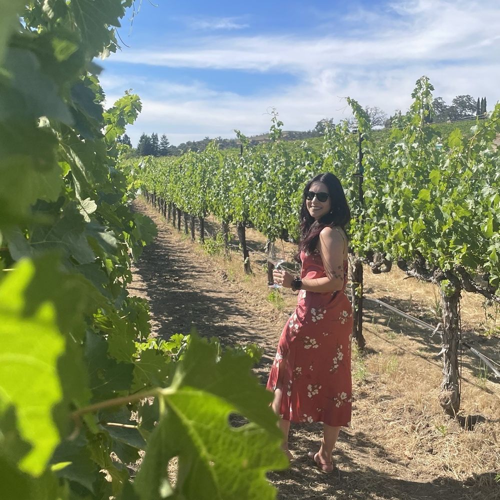 Darioush Winery - Wineries Near Me - Napa, California