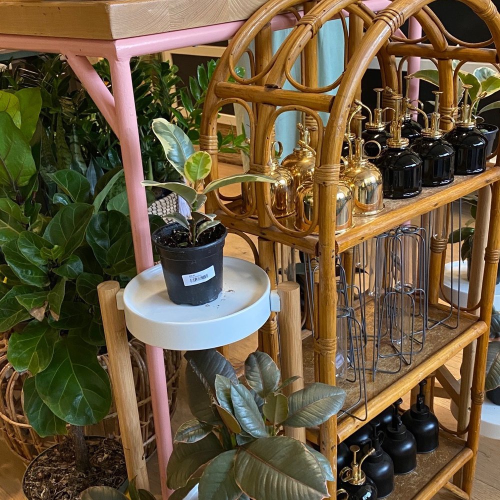 The Planting Hand - Nurseries & Gardening Near Me - Dallas, Texas The Planting Hand - Nurseries & Gardening Near Me - Dallas, Texas