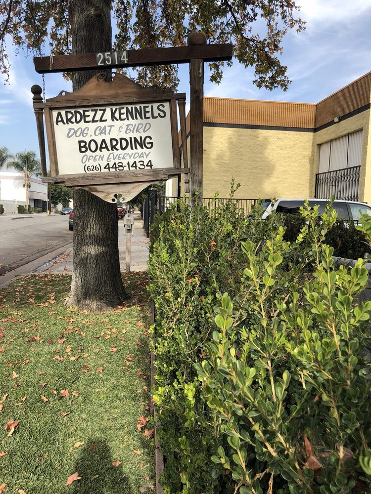 honey bunny stuffed animal