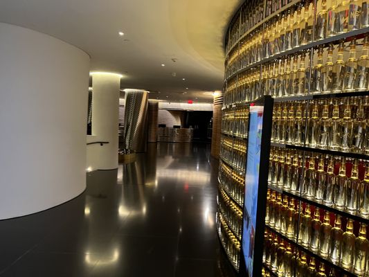 The Watergate Hotel by null