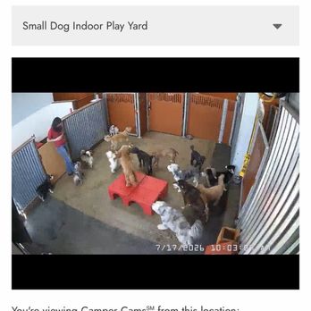 Camp Bow Wow - Diablo Valley - Pet Groomers Near Me - Concord, California
