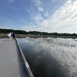 Stono River County Park