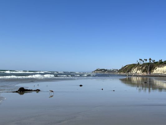 Cardiff State Beach by null