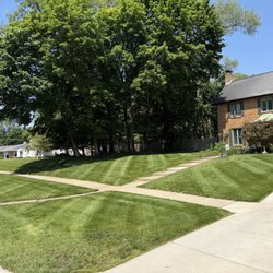 Striped lawn
