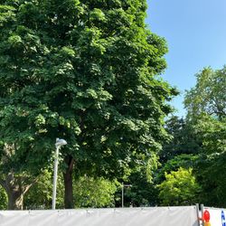 Resselpark - Resselpark