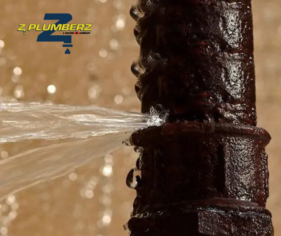 Slide of Z PLUMBERZ of New Haven