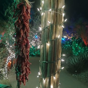 River Of Lights - Festivals Near Me - Albuquerque, New Mexico