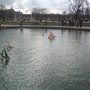 Photo of Les Petits Bateaux du Jardin des Tuileries
