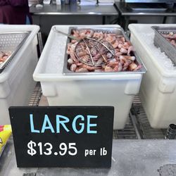 Blalock Seafood & Specialty Market - Large shrimp