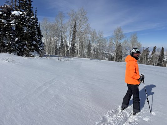 Powder Mountain by null