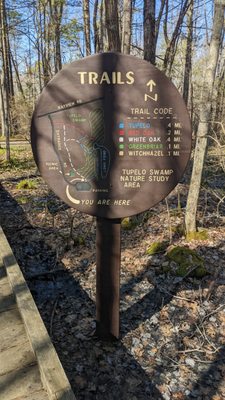 Ferry Beach State Park by null