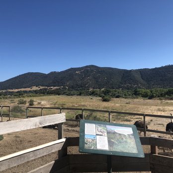 Ostrichland USA - View of the mountains from the emu pen. - Attraction Farms Near Me - Solvang, California Ostrichland USA - View of the mountains from the emu pen. - Attraction Farms Near Me - Solvang, California