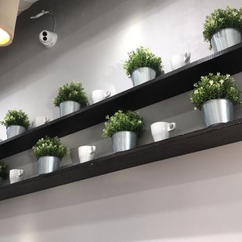 Möge Tee - Flushing - Bubble Tea Near Me - Flushing, New York
